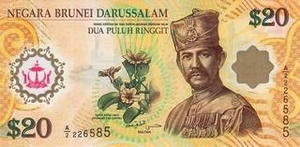 BND брунейский доллар 20 брунейских долларов 
