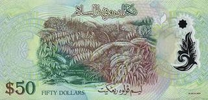 BND брунейский доллар 50 брунейских долларов - оборотная сторона