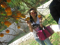 только лузеры на Кипре покупают апельсины и лимоны, профи же рвут их в своем саду...или соседском :))