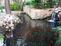 Красные рыбки в пруду городского парка