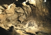 Фотография Ахштырская пещера