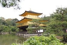 храм Кинкакудзи (золотой павильон)