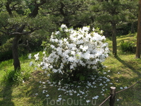 Парк Санкэйэн (Sankeien) известен уникальным подбором цветов, украшающих парк в любое время года