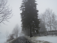 В сильном  тумане по  дороге в  горный замок " Карканош"