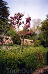 В садах Альгамбры