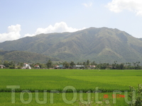 Природа Вьетнама- высокие горы поросшие лесом, пальмы, поля покрытые нежной зеленью рисовых всходов