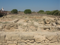 на территории Археологического музея в Пафосе