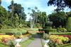 Фотография Королевский ботанический сад