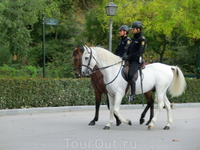 В Мадриде конная полиция охраняет места отдыха горожан. Мы любовались и лошадьми, и всадниками :)