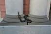 Росток Росток