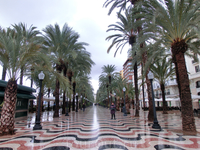 А справа начинается Paseo Explanada De España, прогулочная зона вдоль моря с пальмами, кафешками и красивейшей концертной площадкой в виде раковины.