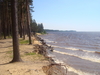 Рыбинское водохранилище своими глазами Рыбинское водохранилище своими глазами