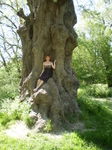 Интересно, сколько этому дереву лет??))