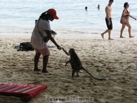 Monkey на Pra Nang