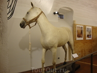 Белый конь маэстро Дали в замке Гала