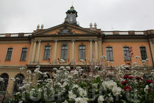 Шведская академия (Svenska Akademien) основанная Густавом III в 1786 году. Членство в академии считается высшим национальным престижем для литераторов. Шведская академия присуждает Нобелевскую премию 