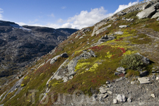 На горе Далснибба (1500м) недалеко от Гейрангер Фьорда, откуда открывается неповторимый вид на фьорд и заснеженные верхушки гор...
