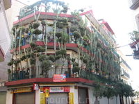 дом с кактусами