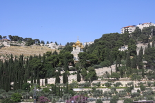 Гефсиманский сад — в настоящее время небольшой сад; в евангельские времена так называлась вся долина, лежащая у подошвы Елеонской горы и гробницы Богородицы. Традиционно почитается, как место моления 