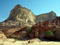 Оазис в горах Синая