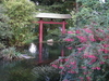 Фотография Леверкузенский Японский сад
