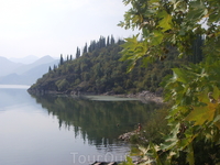 Скадарское озеро находится высоко в горах. Это заповедник, где обитают редкие птицы, но туристам это место нравится редко