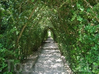 Романтический тоннель