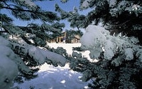 Энкамп Энкамп