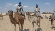 Прогулка на верблюдах во время сафари по Сахаре.