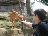 Китай, Далянь. зоопарк