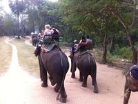 В слоновой деревне была и прогулка на слонах-экск-я по реке Квай