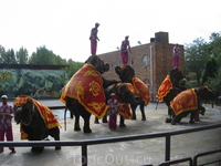 Китай, Далянь. шоу тайских слонов в зоопарке