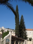 Сочетание природы, архитектуры всегда насыщено палитрой голубого израильского неба.