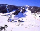 Феникс-Парк – обзор и отзывы лыжного курорта Южной Кореи