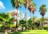 Фотография отеля Antik Garden Avsallar Фотография отеля Antik Garden Avsallar