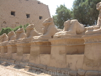 колонна из мини-сфинксов перед входом в Храм