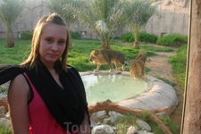 ОАЭ/ Зоопарк в Аль-Айне