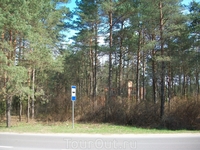 автобусная остановка рядом  с музеем леса, но маршрут №3 единственный, проходящий по этой дороге ходит очень редко