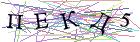 Введите текст с картинки