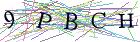 Введите текст с картинки
