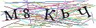 Введите текст с картинки