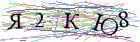 Введите текст с картинки