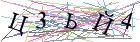 Введите текст с картинки