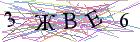 Введите текст с картинки