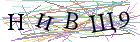 Введите текст с картинки