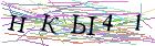 Введите текст с картинки
