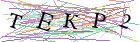 Введите текст с картинки