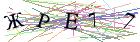 Введите текст с картинки