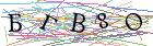 Введите текст с картинки