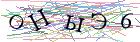 Введите текст с картинки